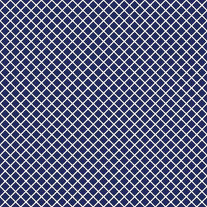 Geometric lattice pattern in blue and white