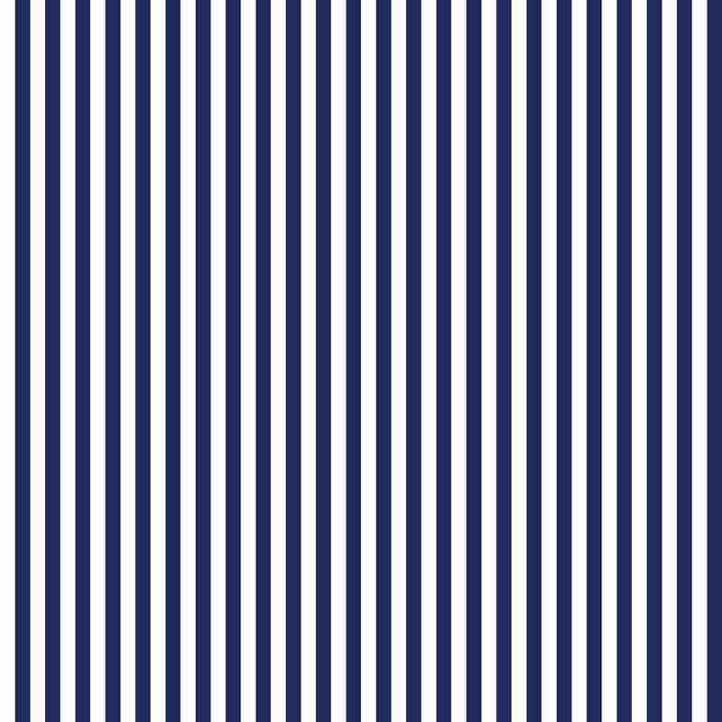 Navy blue and white vertical striped pattern