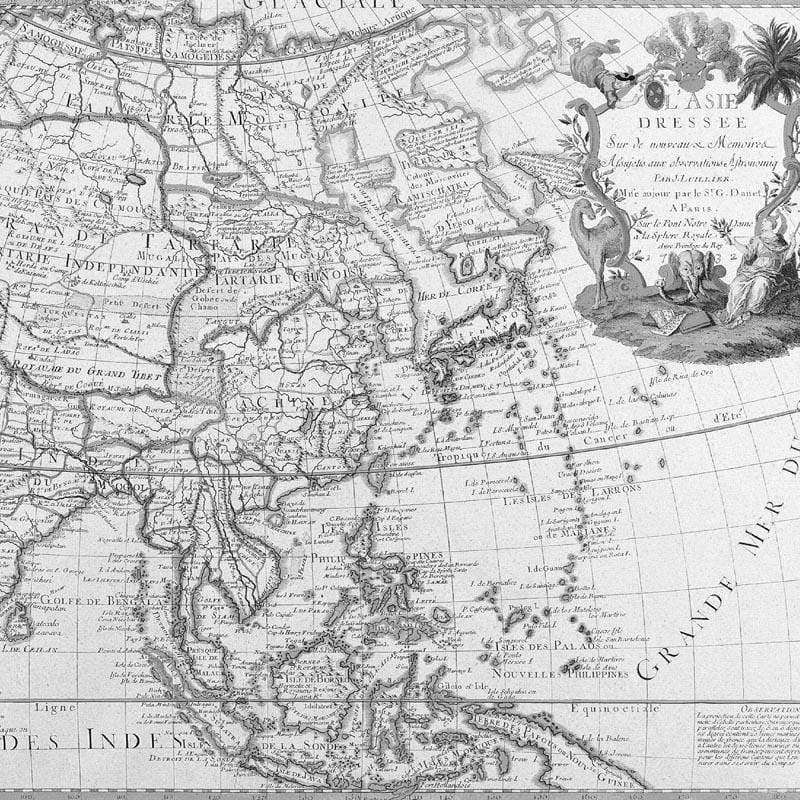 Antique-style black and white map pattern