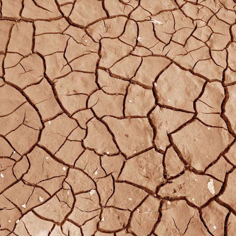 Cracked dry earth forming a natural mosaic pattern