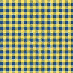 Yellow and blue plaid pattern with a textured appearance