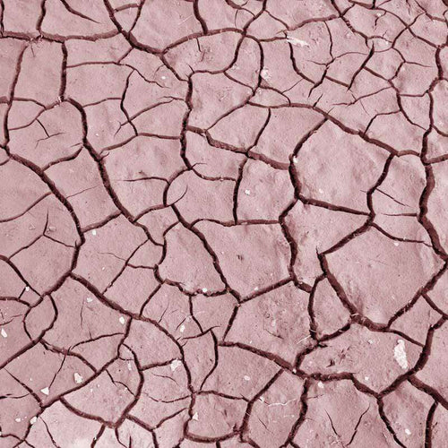 Cracked clay surface in a pink hue