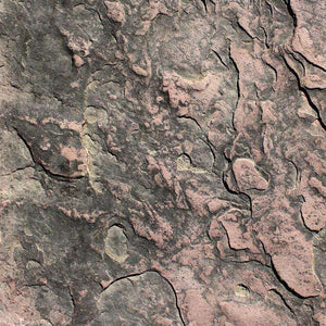 Close-up of a textured stone pattern with cracks