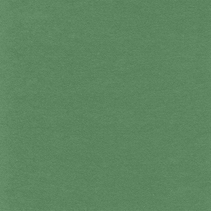 Soft green textured background