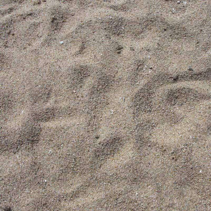 A close-up of a sandy surface with subtle textures