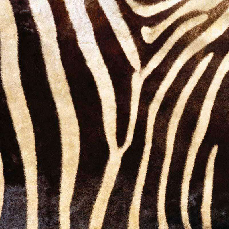 Zebra stripe pattern